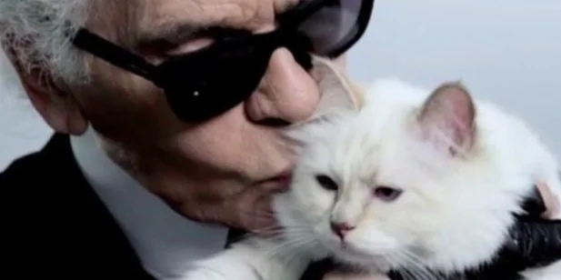 Eredità alla mia Choupette